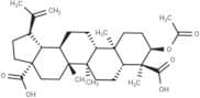 3α-Acetoxy-20(29)-lupene-23,28-dioic acid