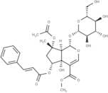 6-O-trans-Cinnamoylphlorigidoside B