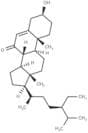 7-Oxo-β-sitosterol