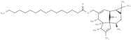 Ingenol 20-palmitate