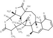 Physalin O