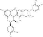 Procyanidin B5