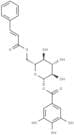 1-O-galloyl-6-O-cinnamoylglucose