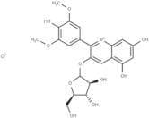 Malvidin-3-O-arabinoside chloride