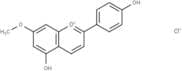 7-methoxy Apigeninidin chloride