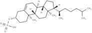 Cholesterol sulfate