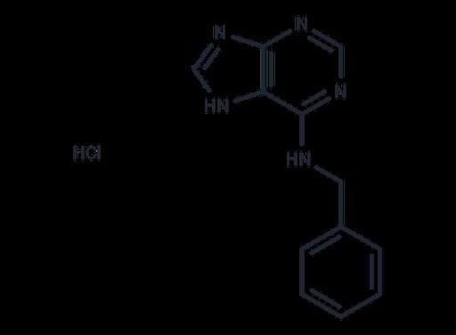 N-Benzyl-9H-purin-6-amine hydrochloride