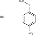p-anisidine hydrochloride