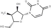 3'-Deoxy-3'-α-C-methyluridine