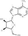 9-(3-Deoxy-3-fluoro-β-D-ribofuranosyl)-6-methyl-9H-purine