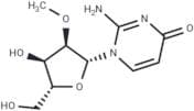 2'-O-Methyl isocytidine