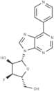 9-(3-Deoxy-3-fluoro-β-D-ribofuranosyl)-6-(pyridine-4-yl)purine