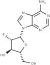 2'-Deoxy-2'-fluoroarabinoadenosine