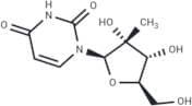 2'-C-Methyl uridine