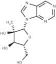 9-(2-C-methyl-β-D-ribofuranosyl)purine