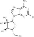 2-Chloro-2'-C-methyladenosine