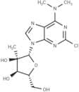 2-Chloro-2'-C-methyl-6-N,N-dimethyladenosine