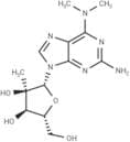2'-b-C-Methyl-2-amino-N6,N6-dimethyladenosine