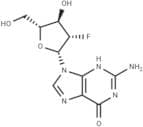 2'-Deoxy-2'-fluoro-β-D-arabinoguanosine