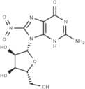 8-Nitroguanosine