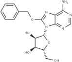 8-Benzyloxyadenosine