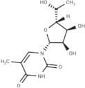 5'(R)-C-Methyl-5-methyluridine