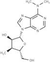 3'-Deoxy-3'-a-C-methyl-N6,N6-dimethyladenosine