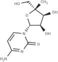 4'-a-C-Methylcytidine