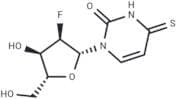 2'-Deoxy-2'-fluoro-4-thiouridine