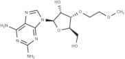 3'-O-(2-Methoxyethyl)-2-aminoadenosine