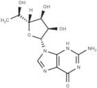5'(R)-C-Methylguanosine