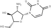 2'-Amino-2'-deoxy-b-D-arabinouridine