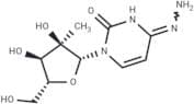 N4-Amino-2'-C-methylcytidine