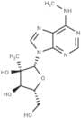 N6-Methyl-2'-C-methyladenosine