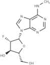 2'-Fluoro-2'-deoxy-N6-methylarabinoadenosine