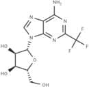 2-Trifluoromethyl adenosine