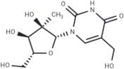 5-Hydroxymethyl-2'-C-methyluridine