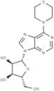 6-(4-Morpholino)-9-(β-D-ribofuranosyl)-9H-purine