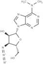 3'-Azido-3'-deoxy-N6,N6-dimethyladenosine