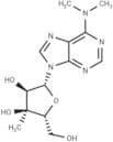 N6,N6-Dimethyl-3'-β-C-methyl-  adenosine