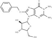 1-Amino-8-benzyloxy-9-(b-D-xylofuranosyl)guanine