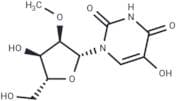 5-Hydroxy-2'-O-methyluridine