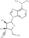 3'-β-C-Ethynyl-N6,N6-dimethyladenosine