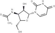 3'-N-Acetyl-3'-amino-3'-deoxyuridine