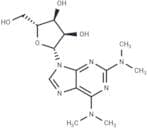 2-(N,N-Dimethylamino)-N6,N6-dimethyladenosine