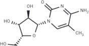 1-(b-D-Xylofuranosyl)-5-methylcytosine