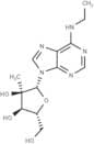 N6-Ethyl-2'-C-methyladenosine