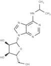 N6-iso-Propyladenosine