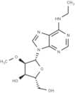 N6-Ethyl-2'-O-methyladenosine