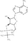 3'-O-t-Butyldimethylsilyl adenosine